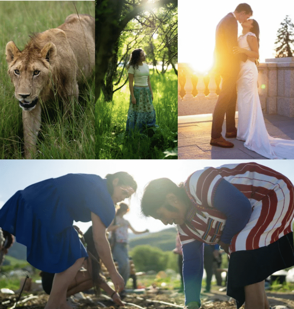 photography jonas wright